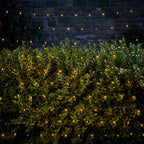 String lights illuminating a bush against a dark background