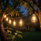 String of illuminated light bulbs hanging between trees in a garden during rain.