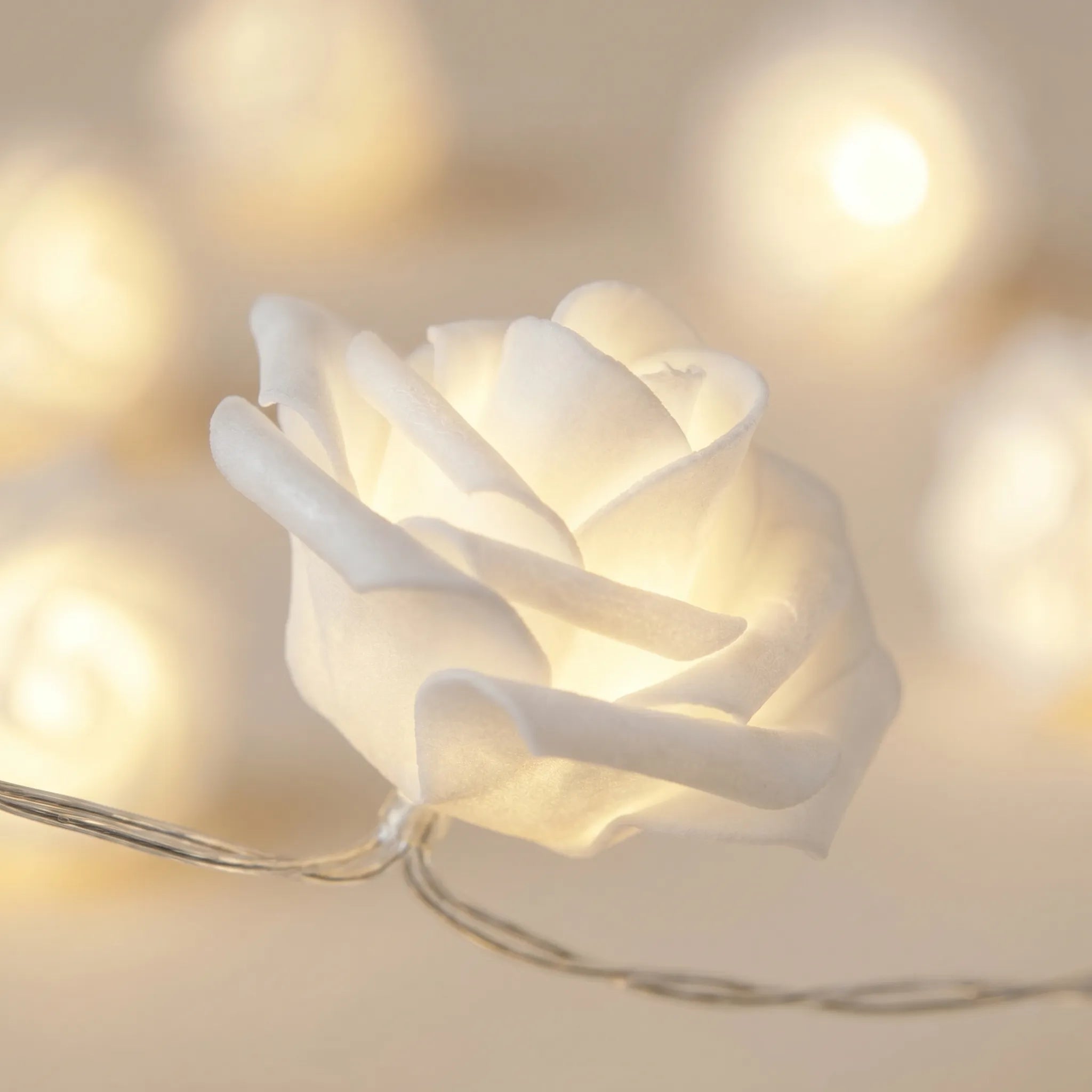 Rose String Lights