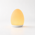 Yellow egg-shaped lamp on a white background
