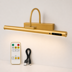 details whats in the package of the led gold lamp and remote and black charger.